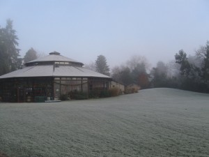 Carousel Building